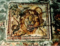 domus_del_leone_1.jpg